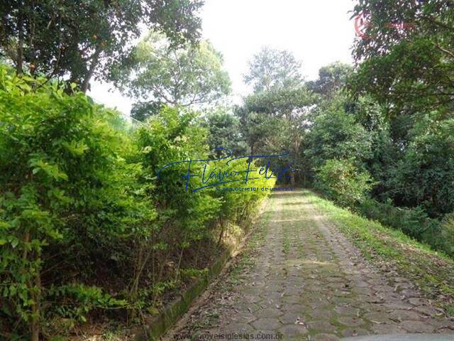 Chácara para Venda em Jardim Cinco Lagos - 19